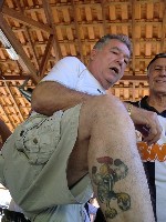 celva 2012a003.jpg (192707 bytes)